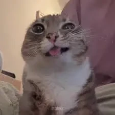 Нью ресьорч